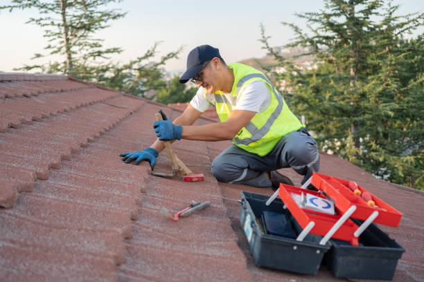 Best Sealant for Roof  in Evansville, WI