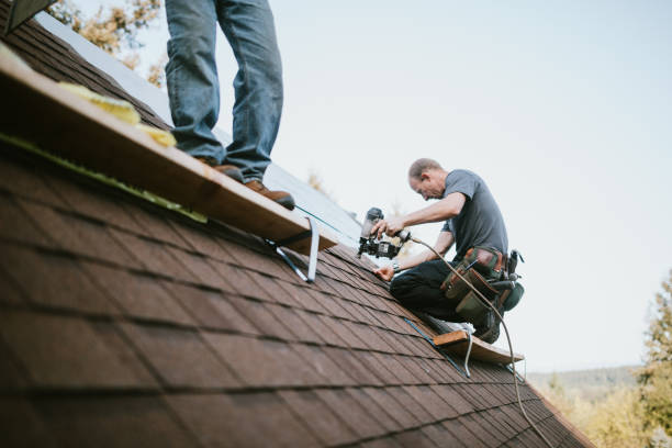 Best Metal Roofing Contractor  in Evansville, WI